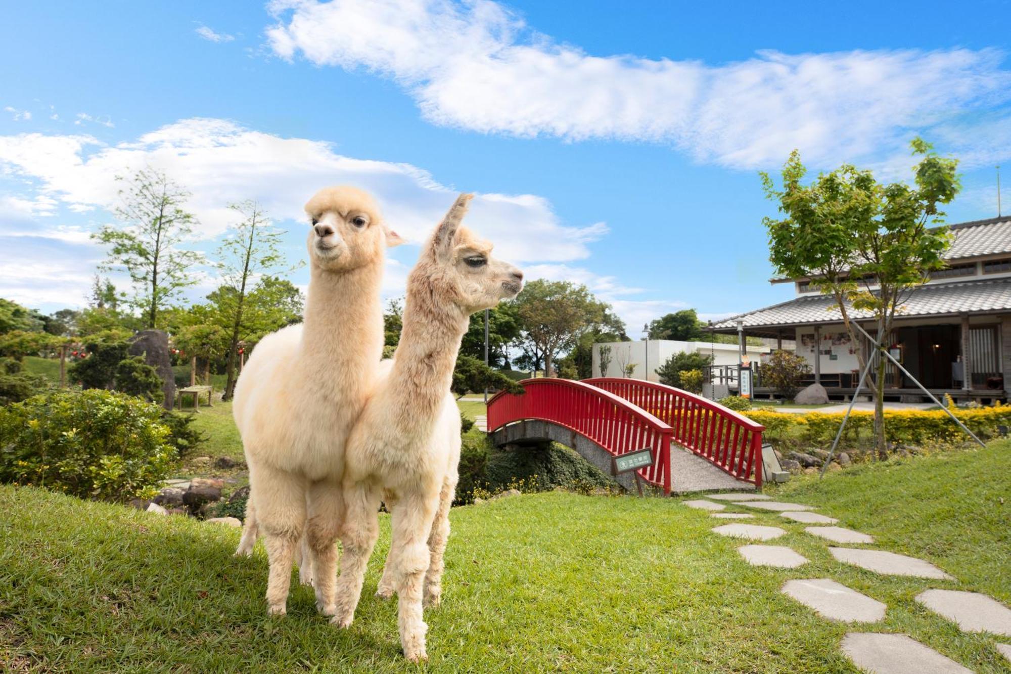Dancewoods Hotel Wujie Dış mekan fotoğraf