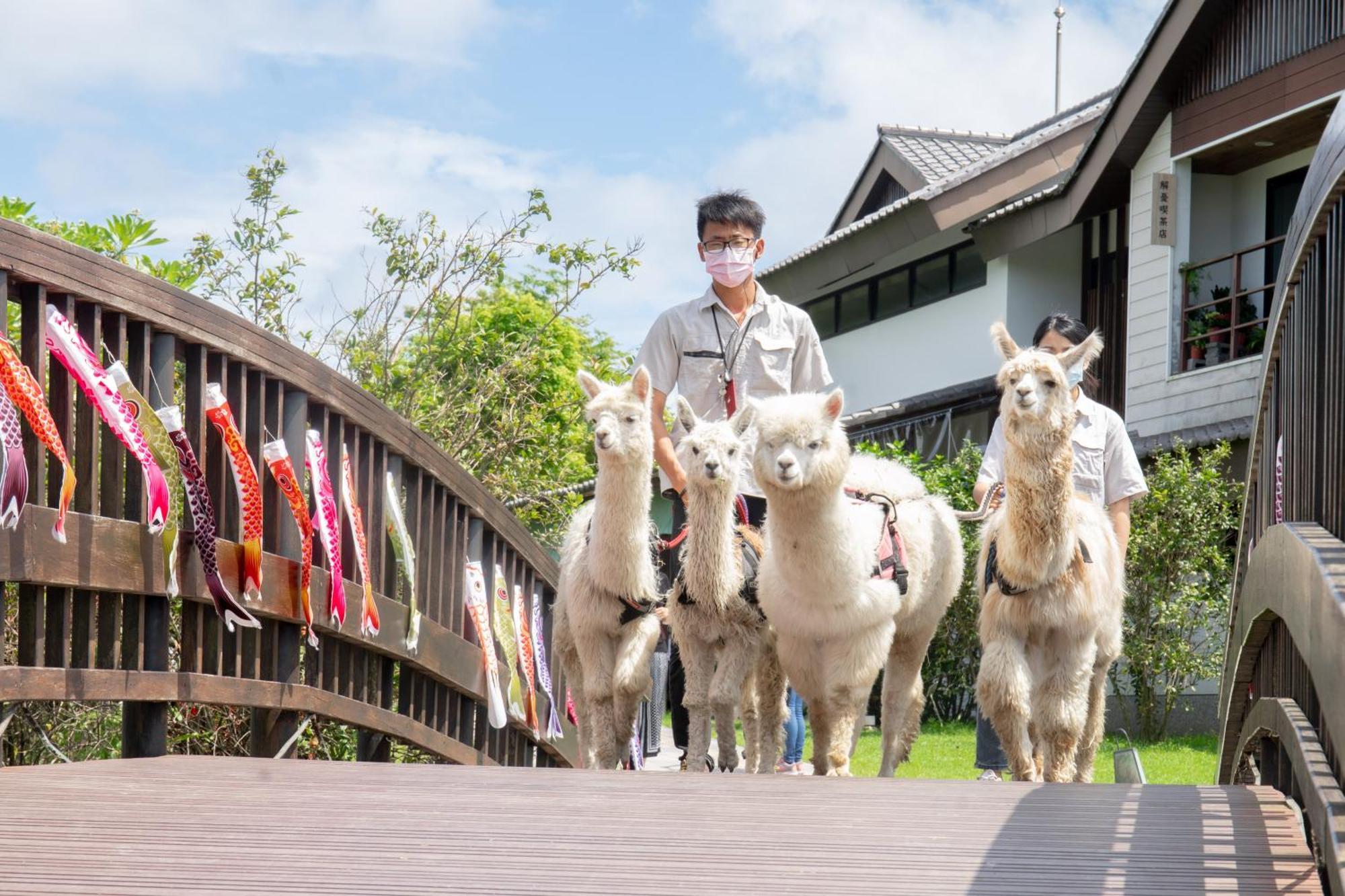Dancewoods Hotel Wujie Dış mekan fotoğraf